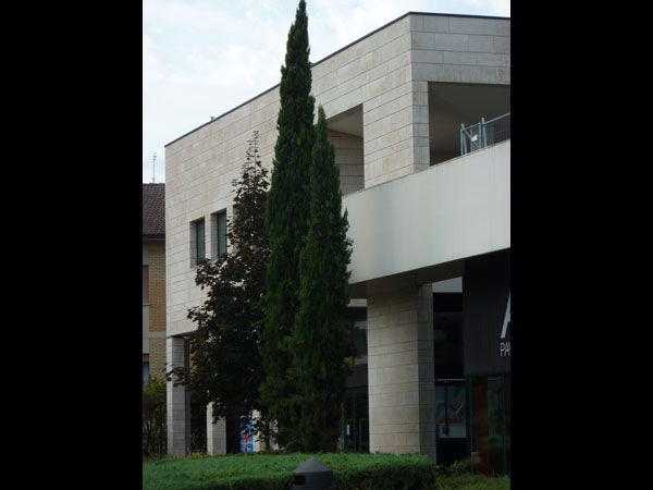 Immagine 6