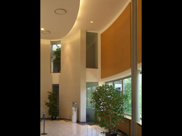 Immagine 6